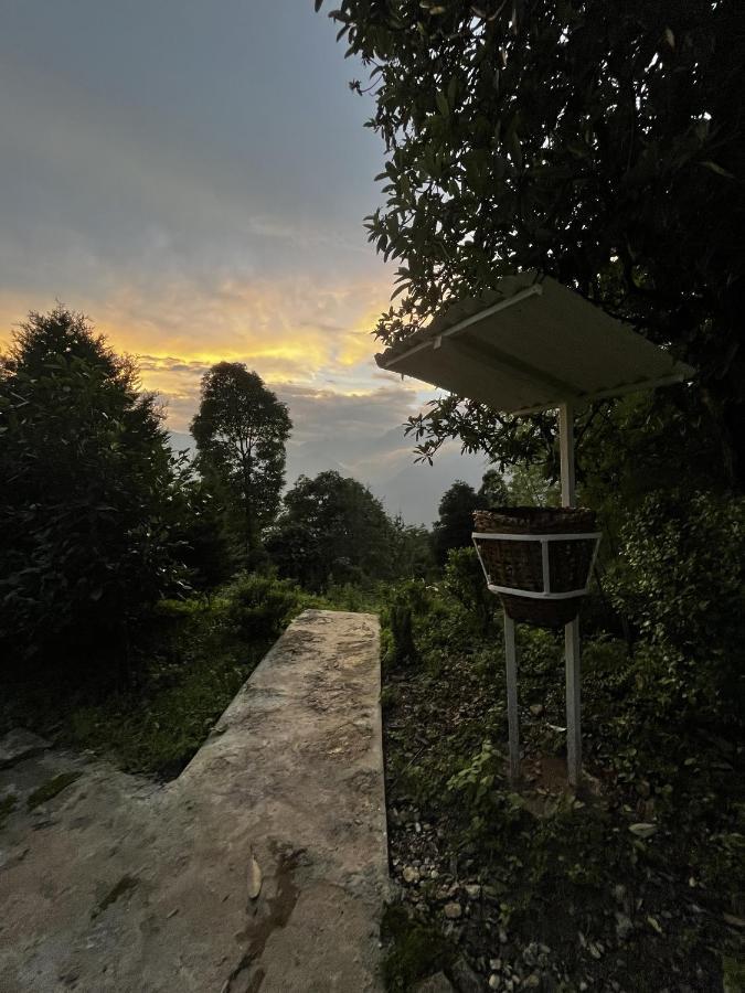The Nettle And Fern Farmstay Pelling Bagian luar foto