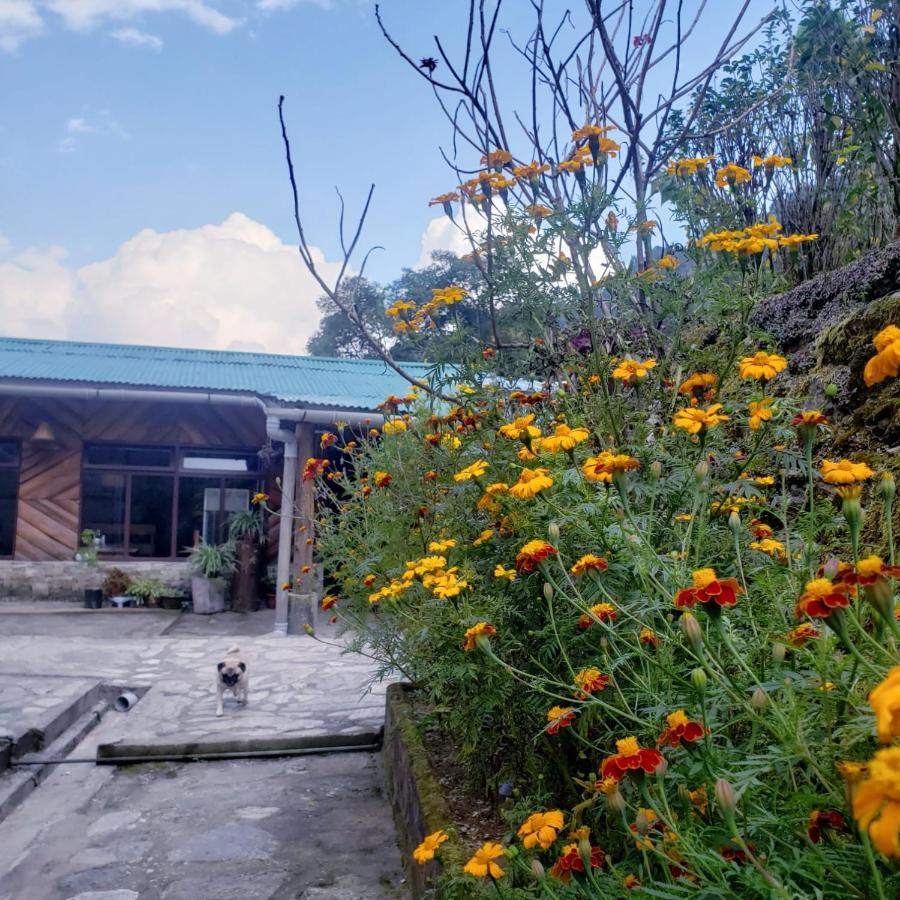The Nettle And Fern Farmstay Pelling Bagian luar foto